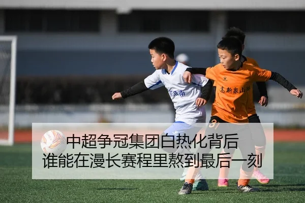img_1780471395942_0_1_645.jpg