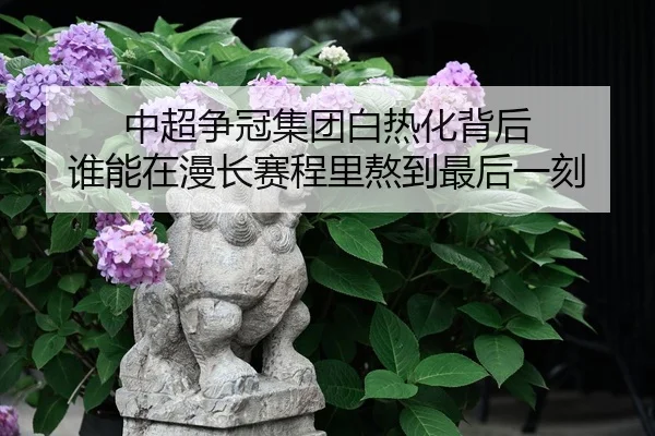中超争冠集团白热化背后 谁能在漫长赛程里熬到最后一刻